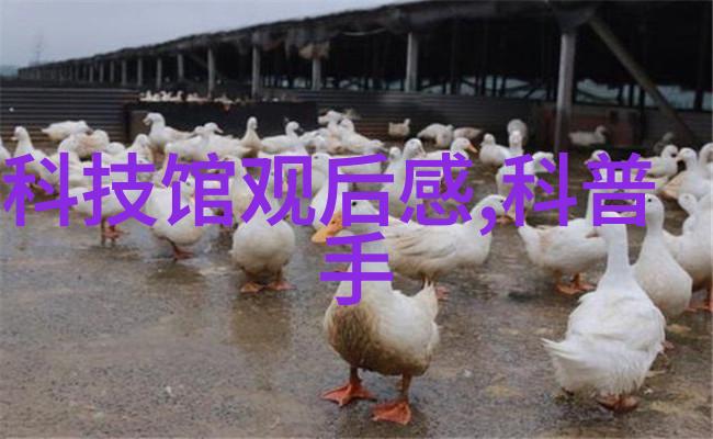 学霸的科技树从课本到芯片智慧之光照亮未来