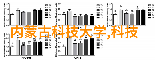 色彩搭配大师class如何选择合适的颜色方案