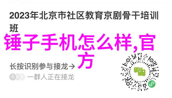 北京智能交通网的构建与演进技术创新政策引导与社会效应分析